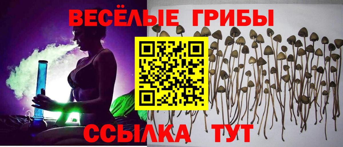 Галлюциногенные грибы мухоморы Мурино
